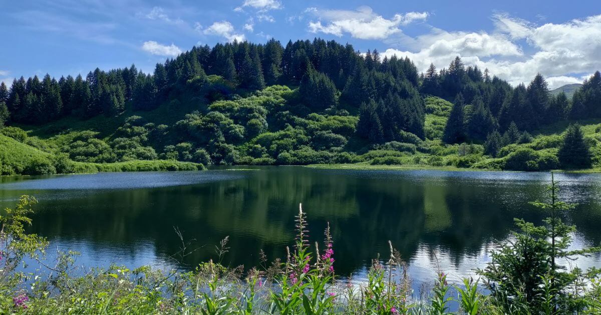 Yield Fish Fish Yield Calculator (Estimate Fillet Yield) – Kodiak Island Smokehouse