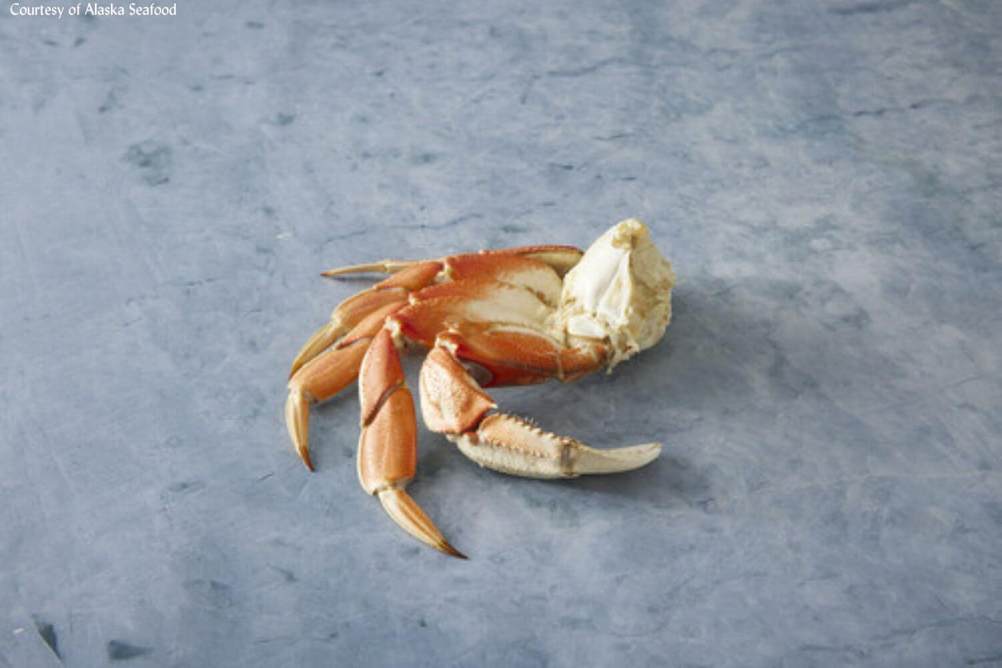 Wild Alaskan Dungeness Crab