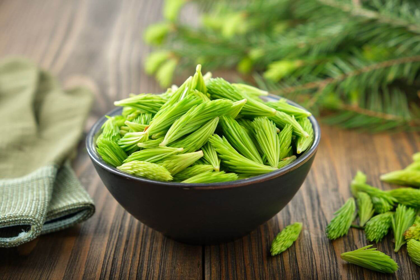 Fresh green spruce tips in a black bowl on a rustic wood surface for wild Alaskan spruce tip jelly and syrup.