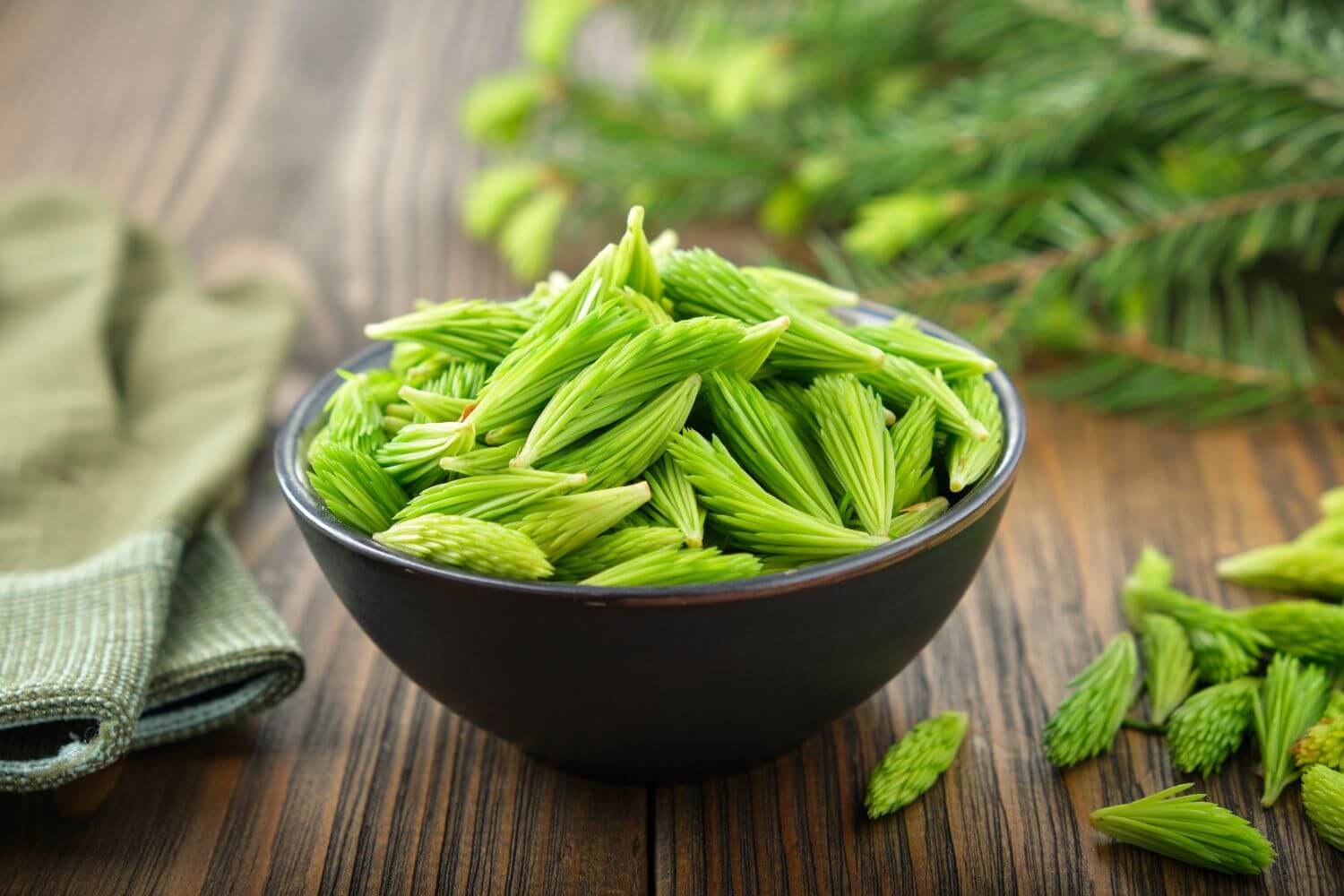 Fresh green spruce tips in a black bowl on a rustic wood surface for wild Alaskan spruce tip jelly and syrup.